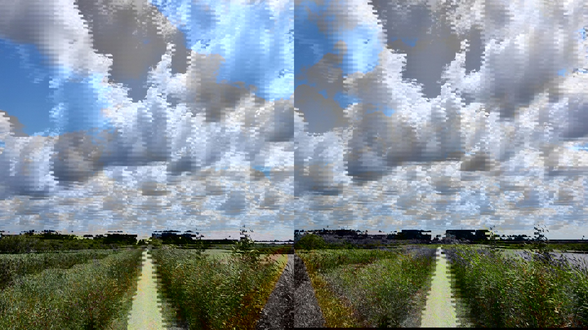 Ries Bosch Odteyxmur6q Unsplash