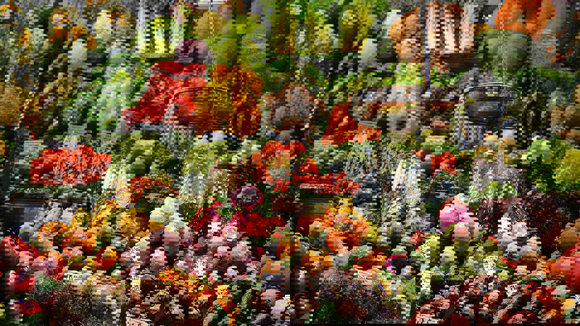 Jacopo Maiarelli Goux23dnks Unsplash